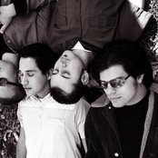 Plankeye - List pictures