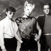 A Flock Of Seagulls - List pictures