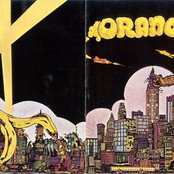 Orang-utan - List pictures