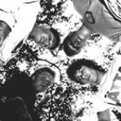 Unicorn - List pictures