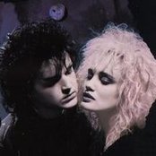 Walk The Moon - List pictures