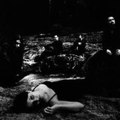 Darkwell - List pictures