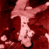 Born Against - List pictures