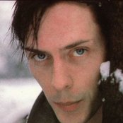 Peter Murphy - List pictures