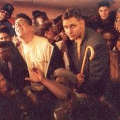 3rd Bass - List pictures