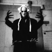 Sleepytime Gorilla Museum - List pictures