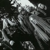 Antestor - List pictures