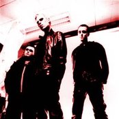 Icon Of Coil - List pictures