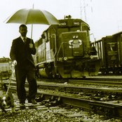 Eels - List pictures