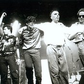 Titas - List pictures