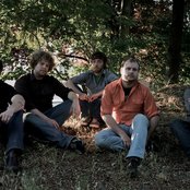 Magnolia Electric Co - List pictures