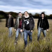 Spids Nøgenhat - List pictures