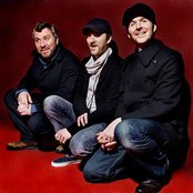 Doves - List pictures