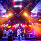 Lotus - List pictures