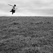 Delicate Steve - List pictures