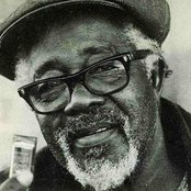 Hammie Nixon - List pictures