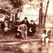 Stockholm Monsters - List pictures