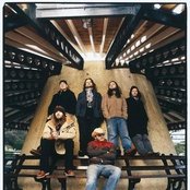 A Band Of Bees - List pictures