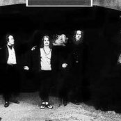 Big Brother And The Holding Company - List pictures