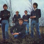 Easybeats - List pictures