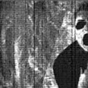 Bile - List pictures