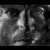 Red Snapper - List pictures