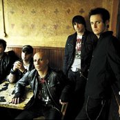 Jet Black Stare - List pictures