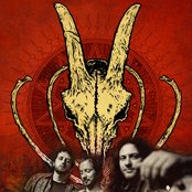 Black Rainbows - List pictures