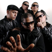 Casa De Leones - List pictures