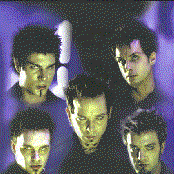 Virgos Merlot - List pictures