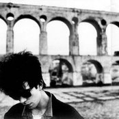 Ian Mcculloch - List pictures