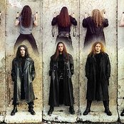 Evereve - List pictures