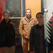 Wilderness - List pictures