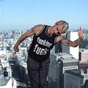 Flea - List pictures