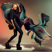 Skin - List pictures