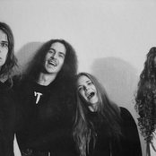 Acrostichon - List pictures