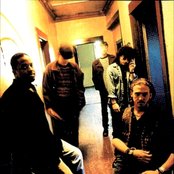 Bloodline - List pictures