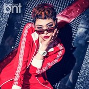 Cheetah - List pictures