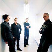 Taproot - List pictures