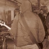 Loon - List pictures