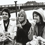 Wings - List pictures