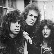 The Dogs - List pictures