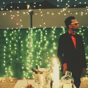 Polyester The Saint - List pictures