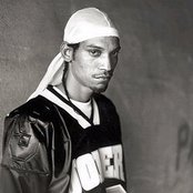 Knoc-turn'al - List pictures