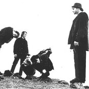 Perl Jam - List pictures