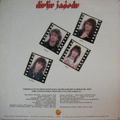 Divlje Jagode - List pictures