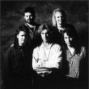 Petra - List pictures