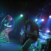 Dozer - List pictures