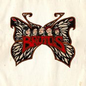 Brutus - List pictures
