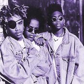 Immature - List pictures